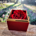 Braver Name - Daughter Birthday Necklace with Rose Box